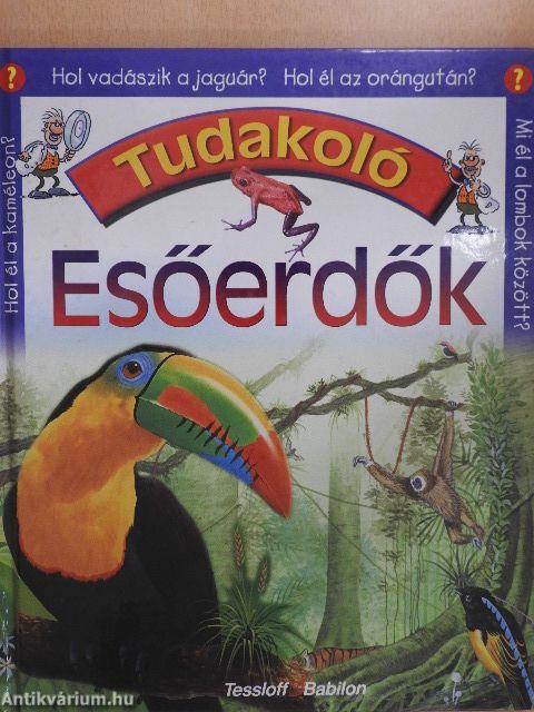 Esőerdők