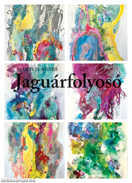 Jaguárfolyosó / Mission Jaguar