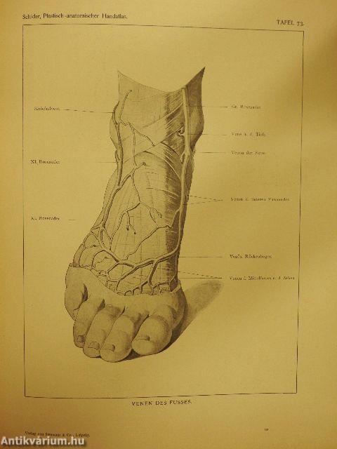 Plastisch-Anatomischer Handatlas