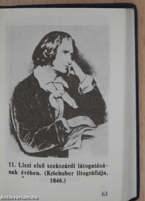 Liszt Ferenc (minikönyv)