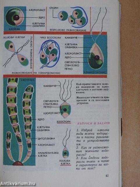 Biológia a műszaki iskolák 6. osztálya számára (bolgár nyelvű)