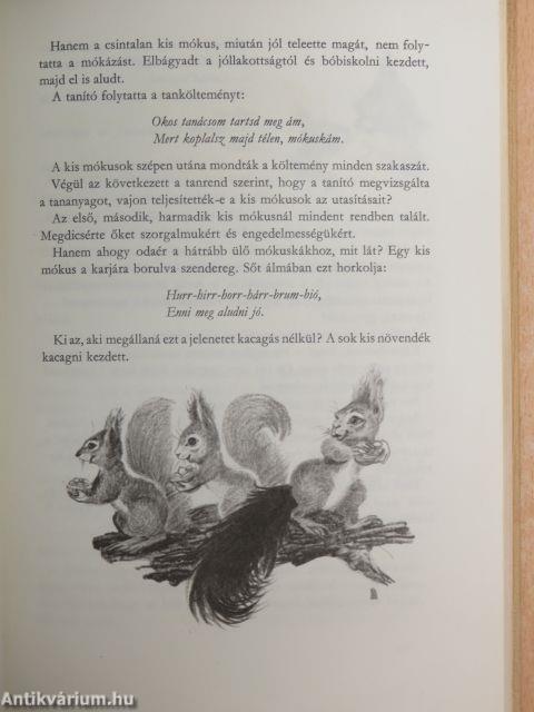 Misi Mókus kalandjai