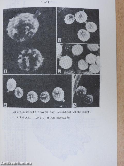 Mikológiai Közlemények 1986/2-3.