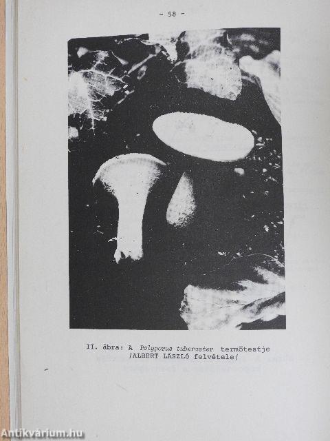 Mikológiai Közlemények 1987/1.
