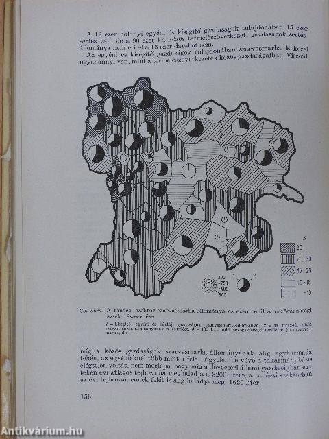 Ajka, a bauxitváros