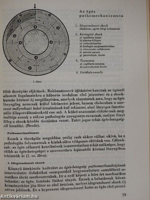 Gyógyszereink 1951. július