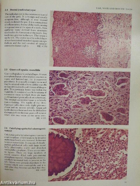 Color Atlas of Histopathology