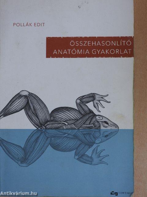 Összehasonlító anatómia gyakorlat