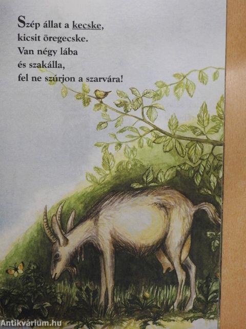 "Szép állat a tigris..."