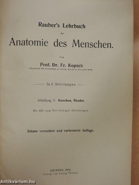 Rauber's Lehrbuch der Anatomie des Menschen 2. (töredék)