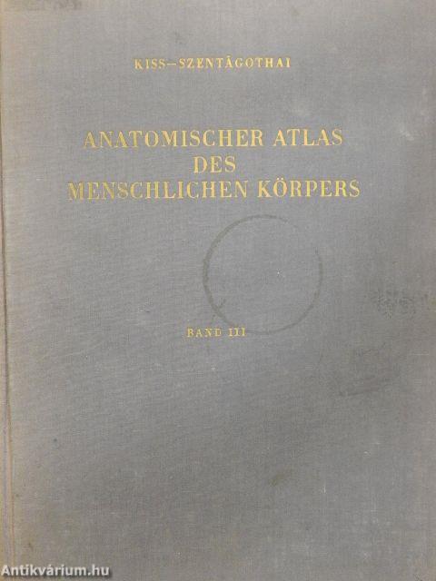 Anatomischer Atlas des Menschlichen Körpers III. (töredék)