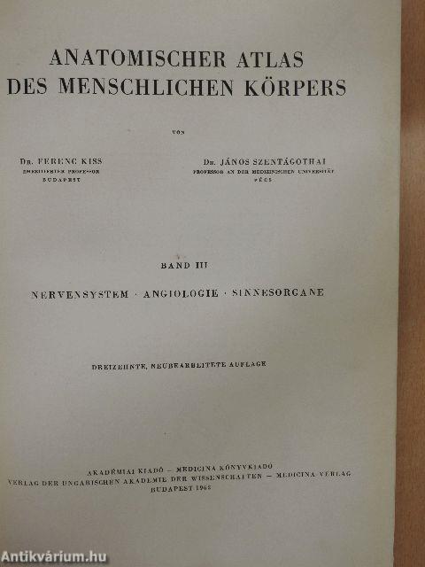 Anatomischer Atlas des Menschlichen Körpers III. (töredék)