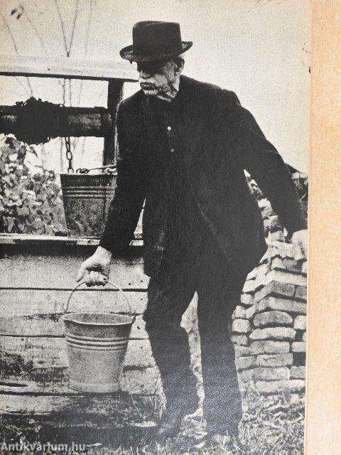 Szabó Pál alkotásai és vallomásai tükrében