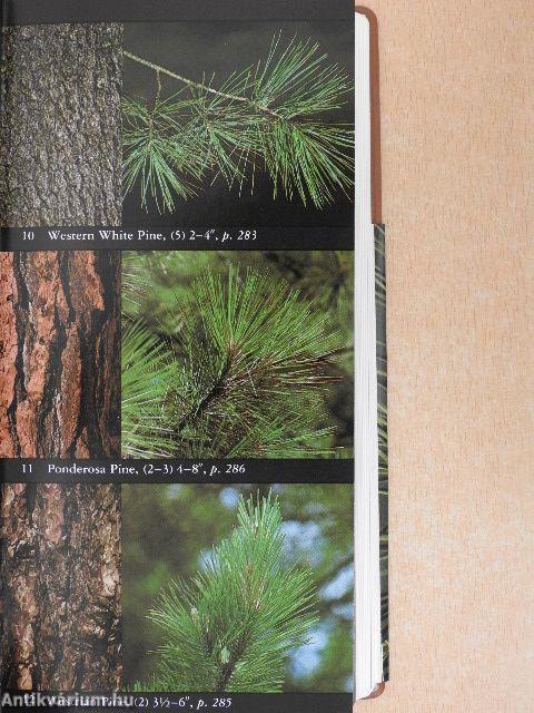 National Audubon Society Field Guide to North American Trees