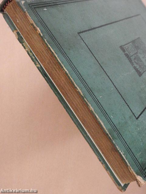 A kötéltánczos regénye