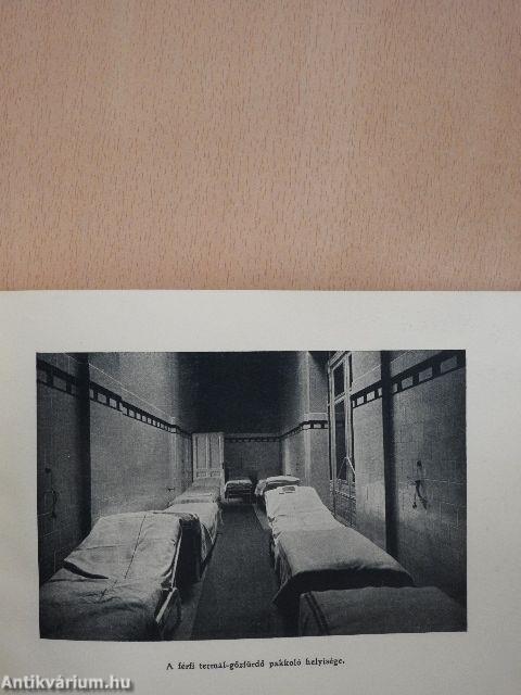 Széchenyi (Artézi) Fürdő