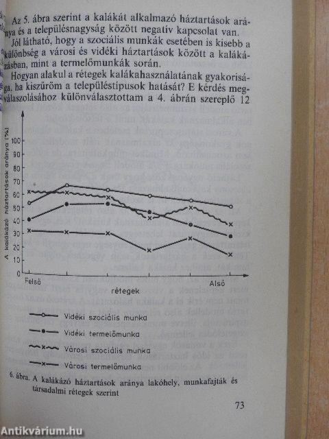 Az »örök« kaláka/A társadalmi munka szociológiája