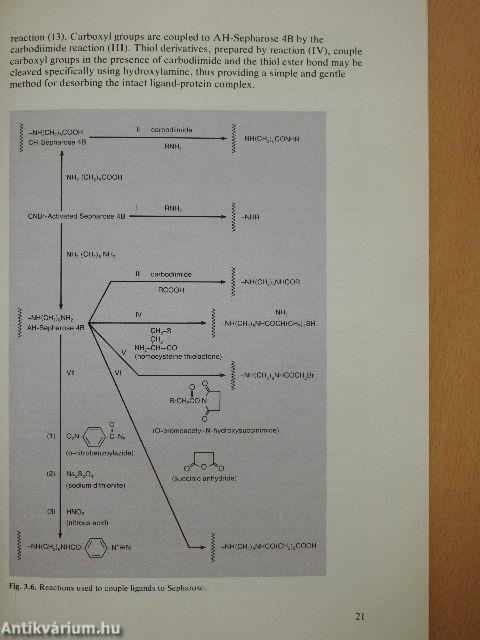 Affinity Chromatography