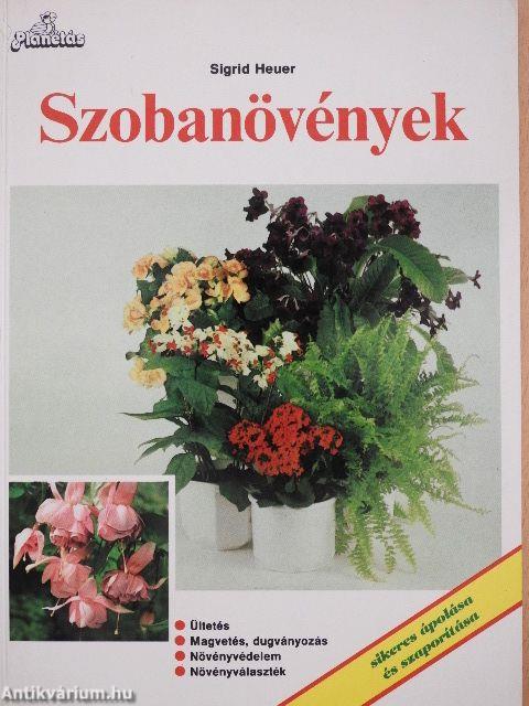 Szobanövények