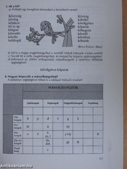 Magyar nyelv és kommunikáció - Munkafüzet 13 éveseknek