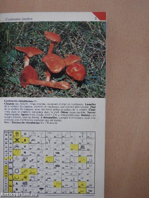 Guide des champignons