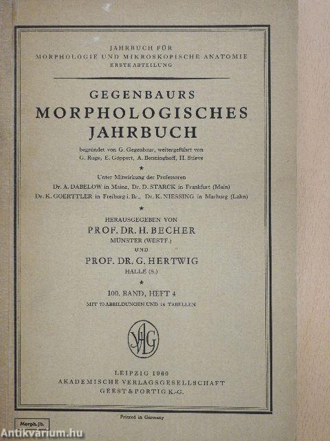 Gegenbaurs Morphologisches Jahrbuch