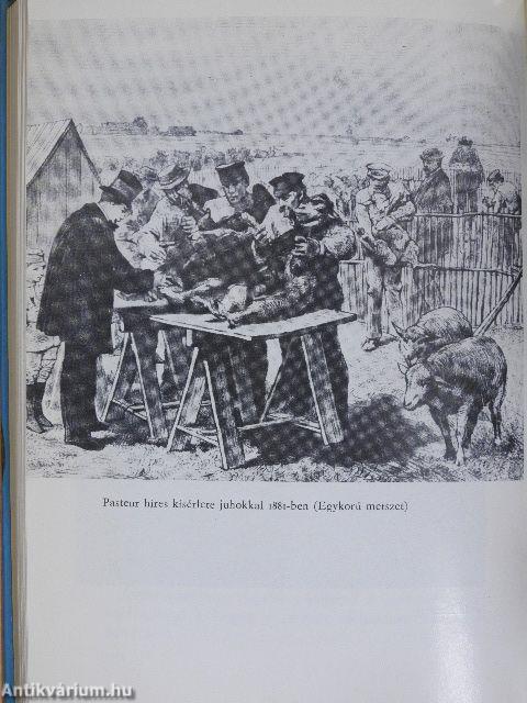 A wollsteini "fizikus"