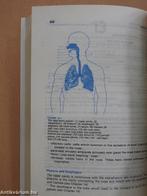 Medical Terminology