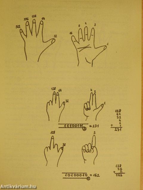 Aritmetika, algebra