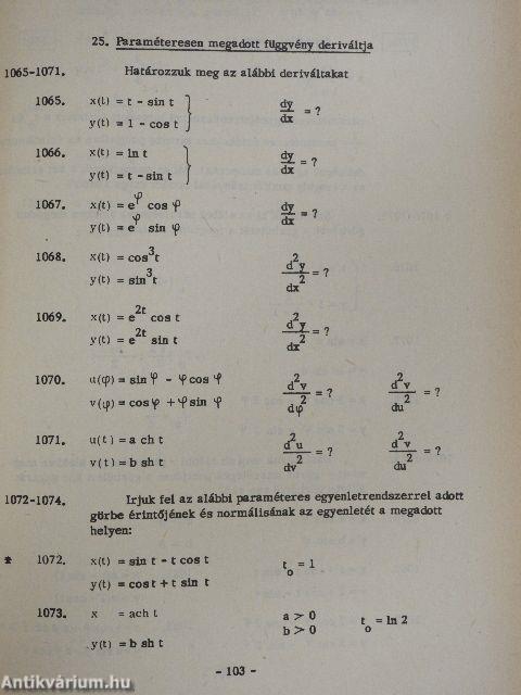 Matematika példatár I-II.