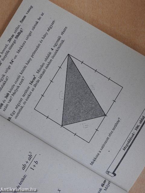 Irány a középiskola - Matematika '98