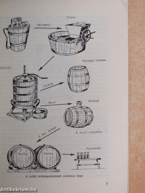 Élelmiszeráruismeret II.