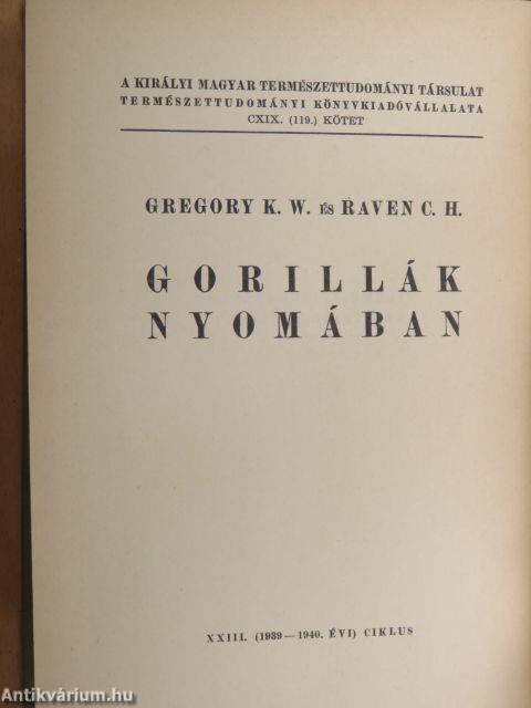 Gorillák nyomában