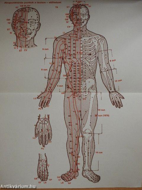 Akupunktúrás kézikönyv A-tól Z-ig