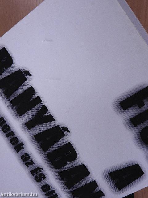 Fiúk a bányában