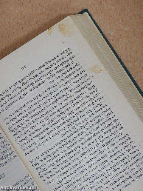 Minden testnek útja