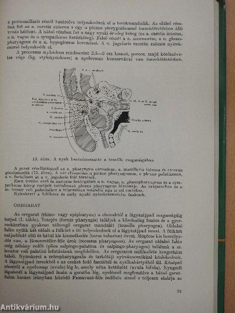 Fül-, orr-, gégegyógyászat