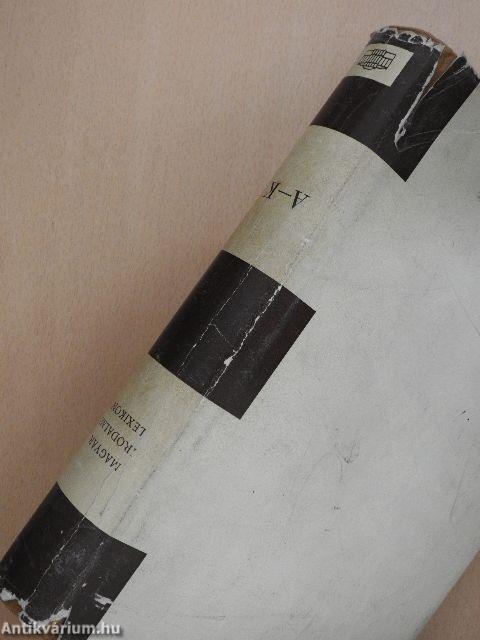 Magyar Irodalmi Lexikon I-III.