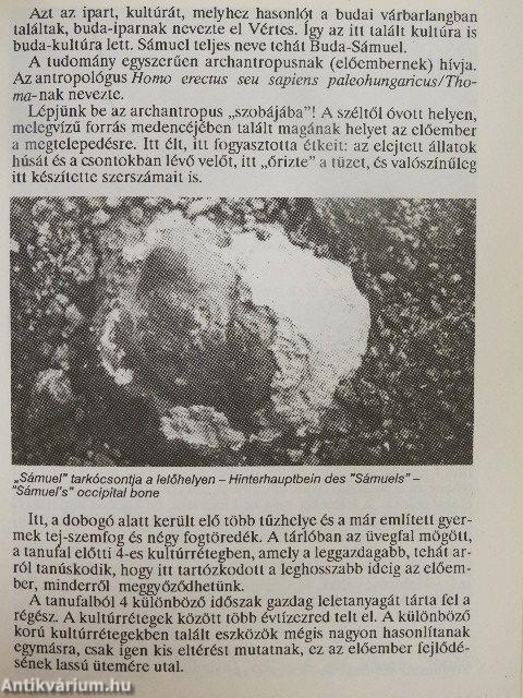 Vértesszőlős - Látnivalók