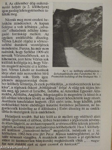 Vértesszőlős - Látnivalók