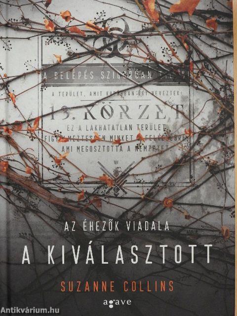 A kiválasztott