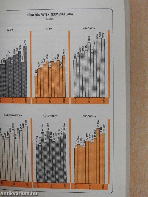 Mezőgazdasági Statisztikai Zsebkönyv 1981.