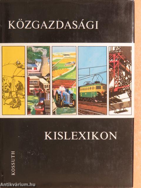 Közgazdasági kislexikon