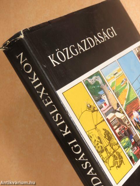 Közgazdasági kislexikon