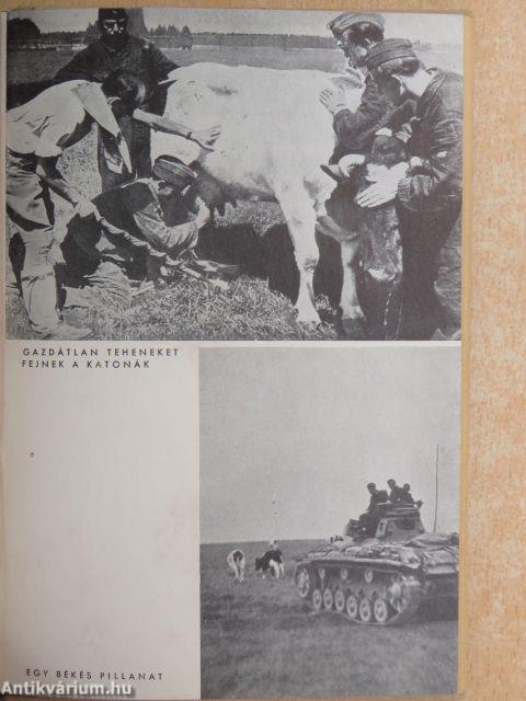 Páncélosok előre! (Tiltólistás kötet)