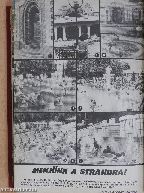 Füles 1983. (nem teljes évfolyam)