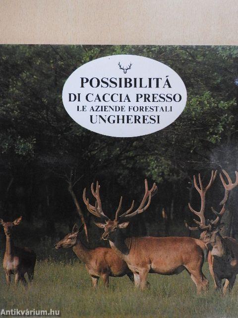 Possibilitá di Caccia Presso le Aziende Forestali Ungheresi