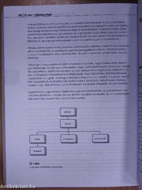 Tanuljuk meg a C++ programozási nyelvet 24 óra alatt 