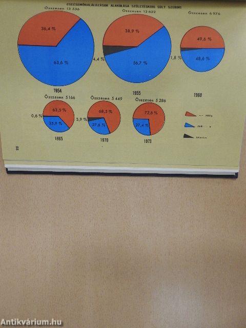 Szülészeti rendtartás statisztikájának adatai