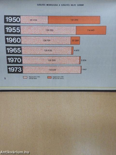 Szülészeti rendtartás statisztikájának adatai